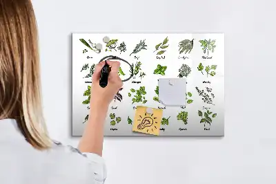 Quadro magnético para desenhar com tema de espécies de árvores