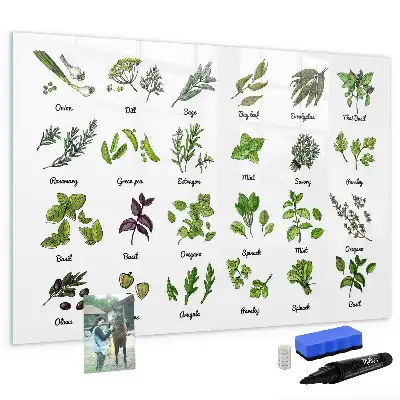 Quadro magnético para desenhar com tema de espécies de árvores
