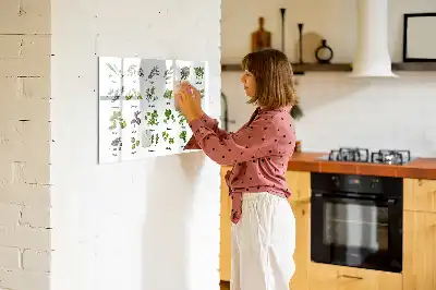 Quadro magnético para desenhar com tema de espécies de árvores