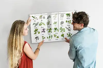 Quadro magnético para desenhar com tema de espécies de árvores