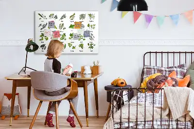 Quadro magnético para desenhar com tema de espécies de árvores