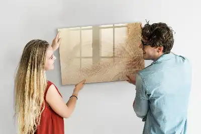 Quadro magnético para desenhar estampa de folhas abstratas
