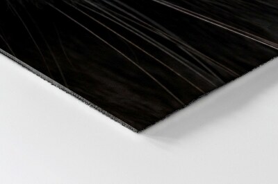 Tapete de entrada Gato preto