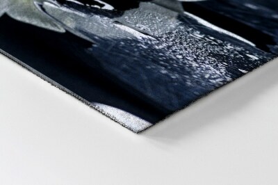 Tapete de entrada Flores Orquídeas