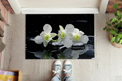 Tapete de entrada Flores Orquídeas