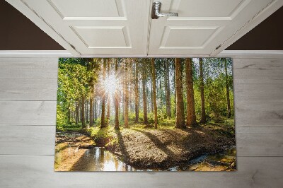 Tapete de entrada Floresta Paisagística