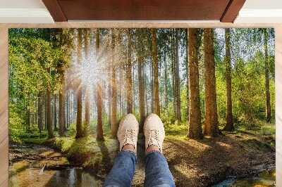 Tapete de entrada Floresta Paisagística