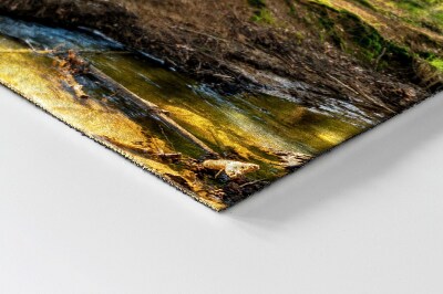 Tapete de entrada Floresta Paisagística