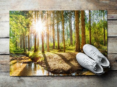 Tapete de entrada Floresta Paisagística