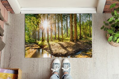 Tapete de entrada Floresta Paisagística