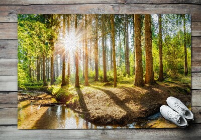 Tapete de entrada Floresta Paisagística