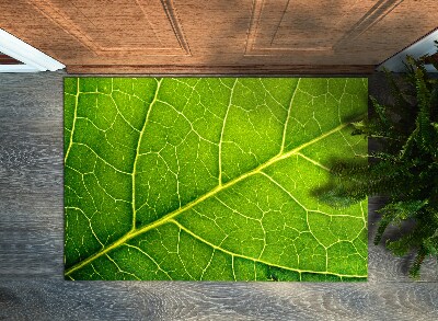 Tapete de entrada Folha