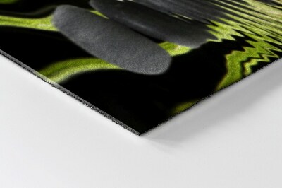 Tapete capacho Nenúfar