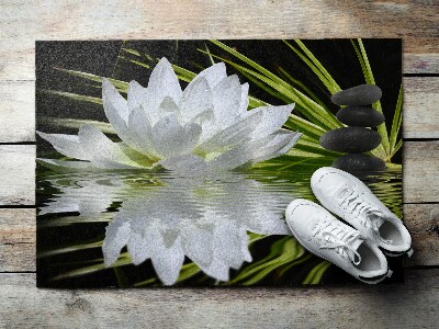 Tapete capacho Nenúfar