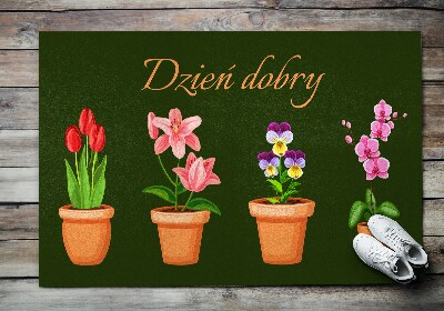 Tapete capacho Flores em vasos