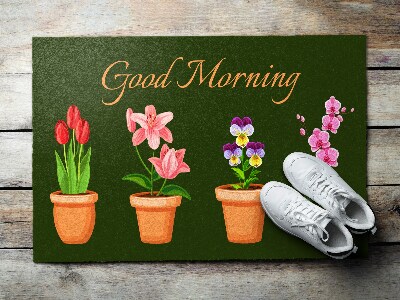 Tapete de entrada Flores em vasos