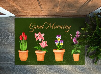 Tapete de entrada Flores em vasos