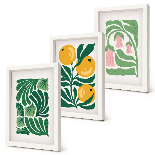 Conjunto de molduras com imagens Padrões minimalistas de plantas com frutos e folhas.