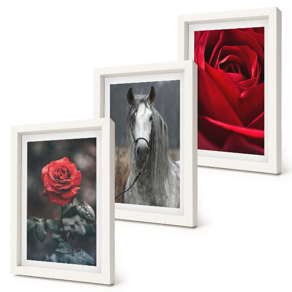 Conjunto de 3 quadros decorativos Rosas vermelhas e um cavalo em um cenário cinza.