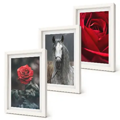 Conjunto de 3 quadros decorativos de rosas vermelhas e cavalo em cenário cinza