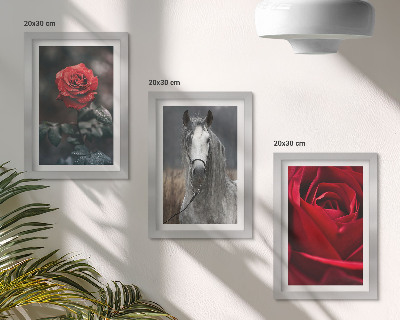 Conjunto de 3 quadros decorativos Rosas vermelhas e um cavalo em um cenário cinza.
