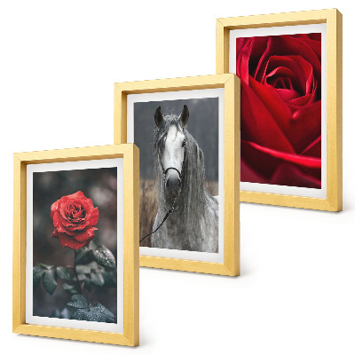 Conjunto de 3 quadros decorativos Rosas vermelhas e um cavalo em um cenário cinza.