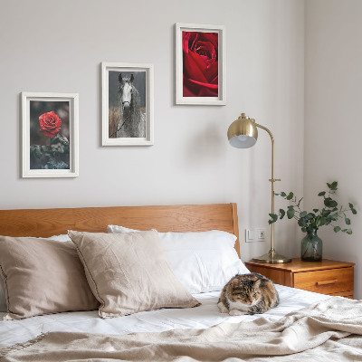 Conjunto de 3 quadros decorativos Rosas vermelhas e um cavalo em um cenário cinza.
