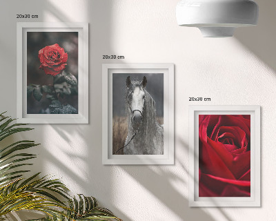 Conjunto de 3 quadros decorativos Rosas vermelhas e um cavalo em um cenário cinza.
