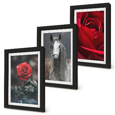Conjunto de 3 quadros decorativos Rosas vermelhas e um cavalo em um cenário cinza.