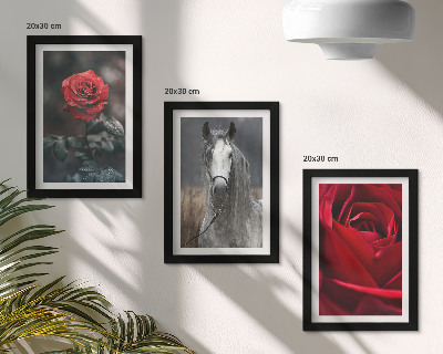 Conjunto de 3 quadros decorativos Rosas vermelhas e um cavalo em um cenário cinza.