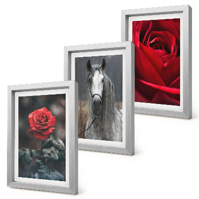 Conjunto de 3 quadros decorativos Rosas vermelhas e um cavalo em um cenário cinza.