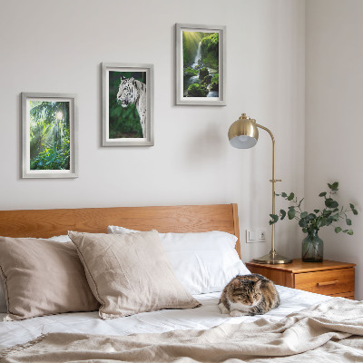 Conjunto de 3 quadros decorativos Selva com um tigre branco e uma cachoeira selvagem