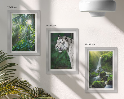 Conjunto de 3 quadros decorativos Selva com um tigre branco e uma cachoeira selvagem