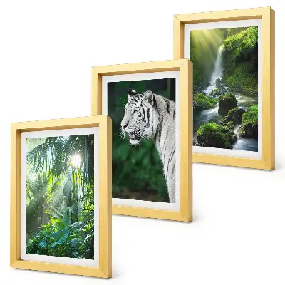 Conjunto de 3 quadros decorativos com estampa de selva com tigre branco e cachoeira