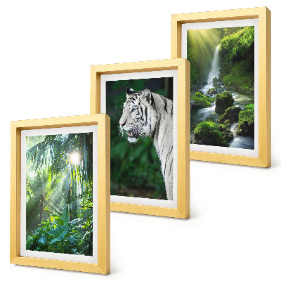 Conjunto de 3 quadros decorativos Selva com um tigre branco e uma cachoeira selvagem