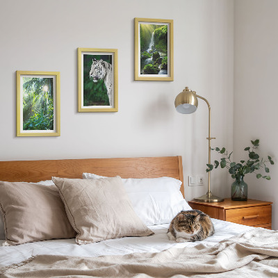 Conjunto de 3 quadros decorativos Selva com um tigre branco e uma cachoeira selvagem