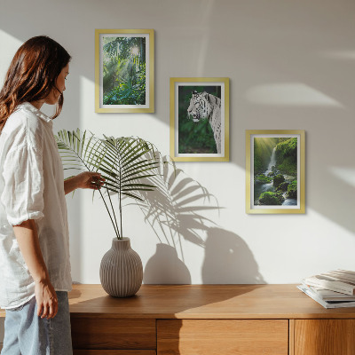 Conjunto de 3 quadros decorativos Selva com um tigre branco e uma cachoeira selvagem