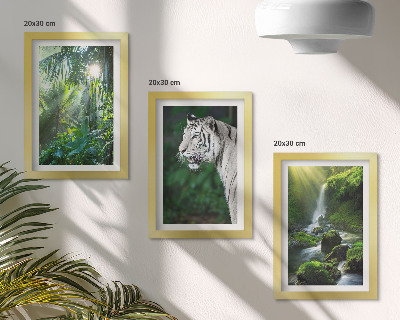 Conjunto de 3 quadros decorativos Selva com um tigre branco e uma cachoeira selvagem