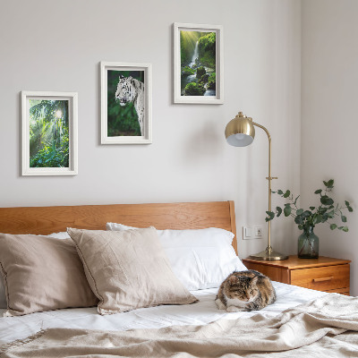 Conjunto de 3 quadros decorativos Selva com um tigre branco e uma cachoeira selvagem
