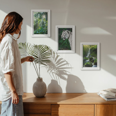 Conjunto de 3 quadros decorativos Selva com um tigre branco e uma cachoeira selvagem