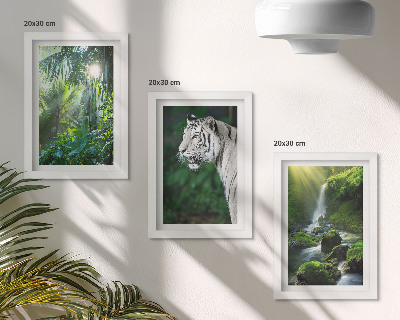 Conjunto de 3 quadros decorativos Selva com um tigre branco e uma cachoeira selvagem