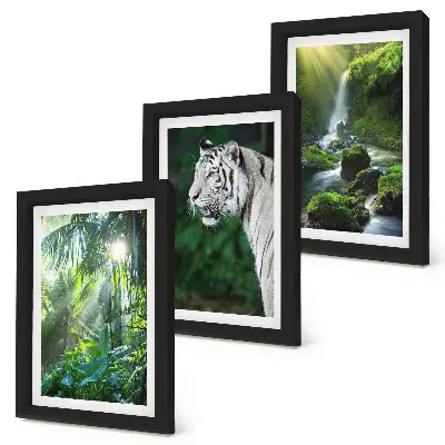 Conjunto de 3 quadros decorativos com estampa de selva com tigre branco e cachoeira