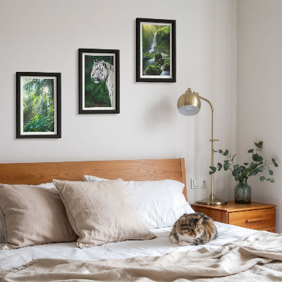 Conjunto de 3 quadros decorativos Selva com um tigre branco e uma cachoeira selvagem