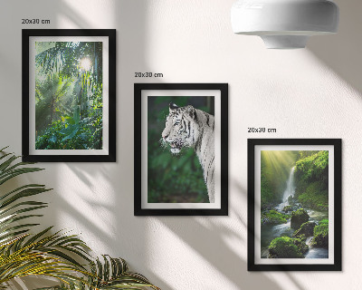 Conjunto de 3 quadros decorativos Selva com um tigre branco e uma cachoeira selvagem