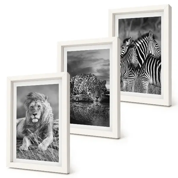 Conjunto de 3 quadros decorativos animais selvagens da savana com leão, onça-pintada e zebra
