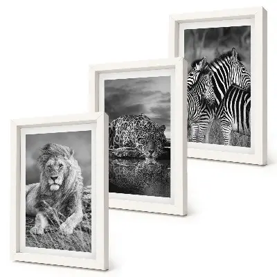 Conjunto de 3 quadros decorativos animais selvagens da savana com leão, onça-pintada e zebra
