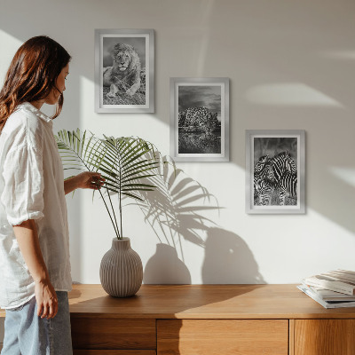 Conjunto de 3 quadros decorativos Animais selvagens da savana: leão, onça-pintada e zebra.