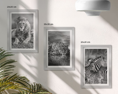 Conjunto de 3 quadros decorativos Animais selvagens da savana: leão, onça-pintada e zebra.