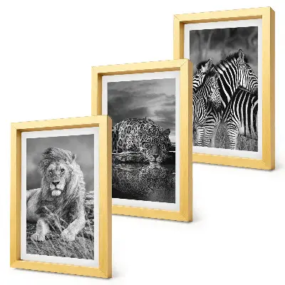 Conjunto de 3 quadros decorativos animais selvagens da savana com leão, onça-pintada e zebra