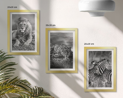 Conjunto de 3 quadros decorativos Animais selvagens da savana: leão, onça-pintada e zebra.